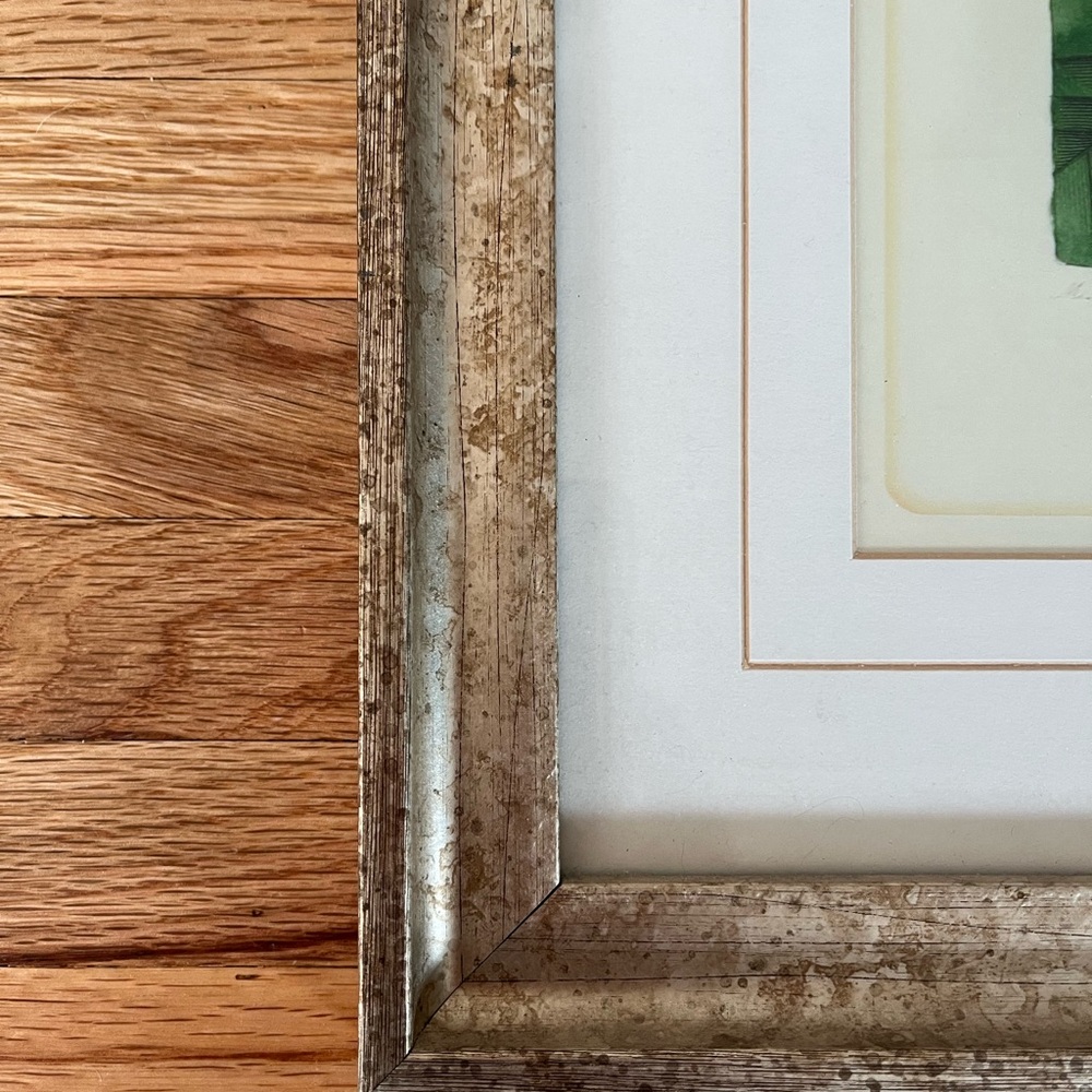 Framed Red botanical Floral Art Print - Picture 4 of 11